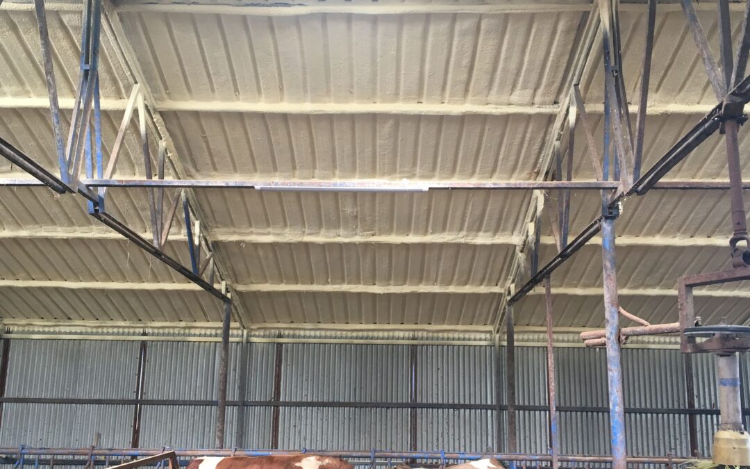 Besi ve Hayvan Barınakları