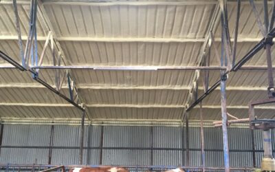 Besi ve Hayvan Barınakları