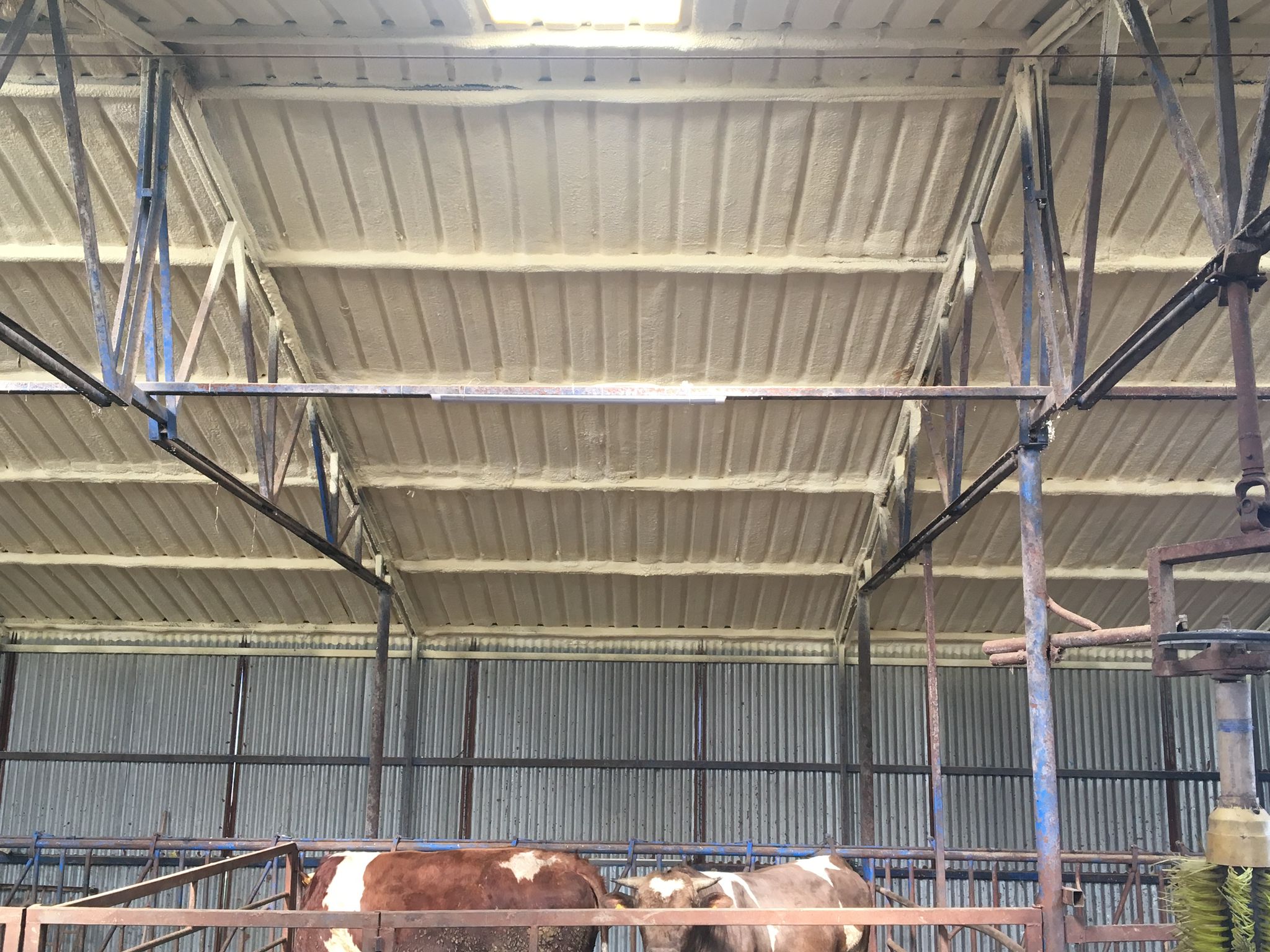 WhatsApp Image 2025-02-07 at 21.51.20