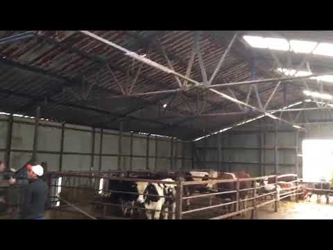 Hayvan Barınağı Poliüretan Uygulama