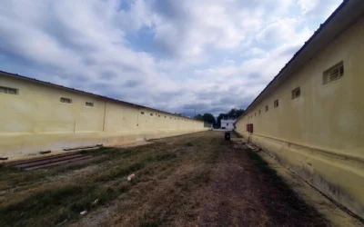 Hayvan Barınak Uygulamaları